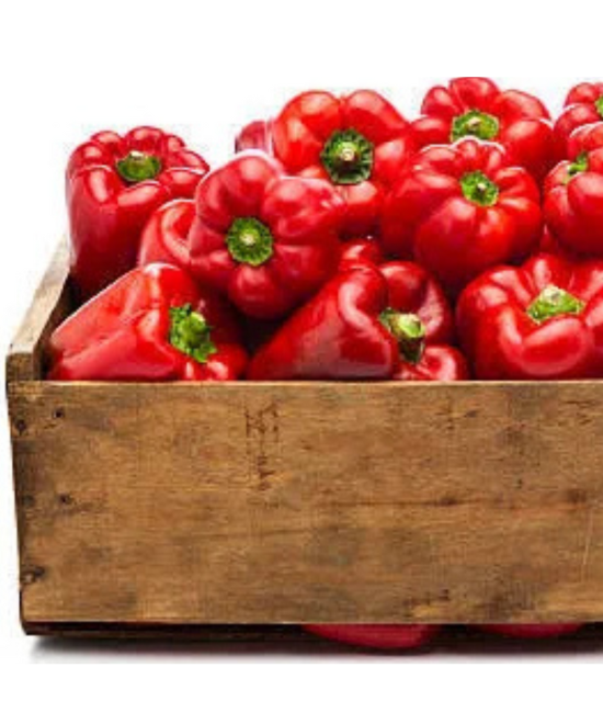 Red Capiscum Pepper, pepper box, Red Cap Pepper Box online