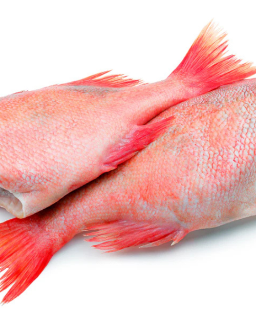 uk uk buy Frozen Red Bream cut, buy online fast uk wide delivery