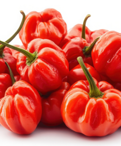 buy buy Ata Rodo Pepper pot, Ata rodo, African food online delivery Uk, Order Scotch Bonnet ata rodo, scotch bonnet pepper, Ata Rodo Pepper pot, Ata rodo uk