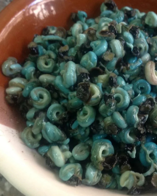 Buy Fresh periwinkles delivery UK, buy online uk ogbongeh