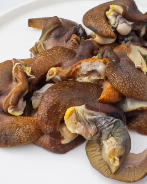 Frozen Snail Medium - 3/5 In A Pouch (No Shell & Clean)
