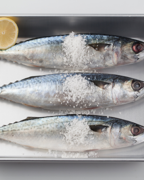 Mackerel Titus Whole