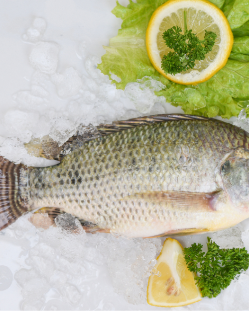 Whole Tilapia descaled buy online, Frozen Whole Tilapia Fish for African cooking, available online from Ogbongeh with UK delivery, Tilapia descaled, Frozen Whole Tilapia descaled uk