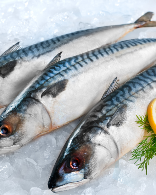 Whole frozen mackerel fish for Nigerian stews and grills – available at Ogbongeh African food shop, Whole Mackerel, Whole Mackerel 2kg, uk store uk