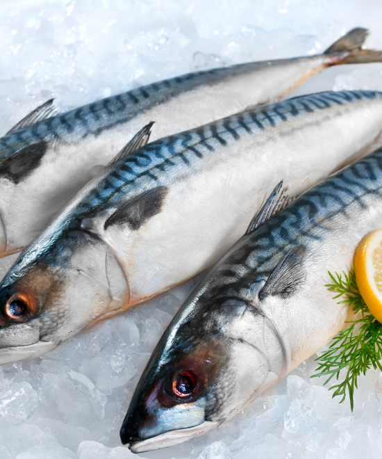 Whole frozen mackerel fish for Nigerian stews and grills – available at Ogbongeh African food shop, Whole Mackerel, Whole Mackerel 2kg, uk store uk