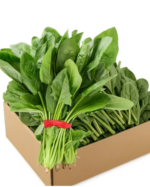 Fresh Spinach Box (x20*)
