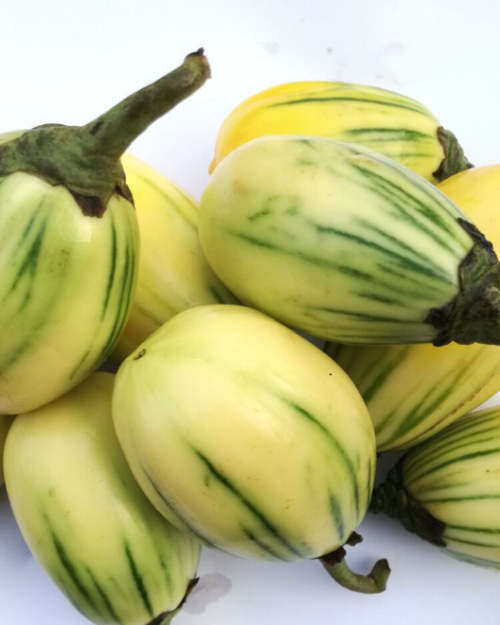 Buy garden egg online