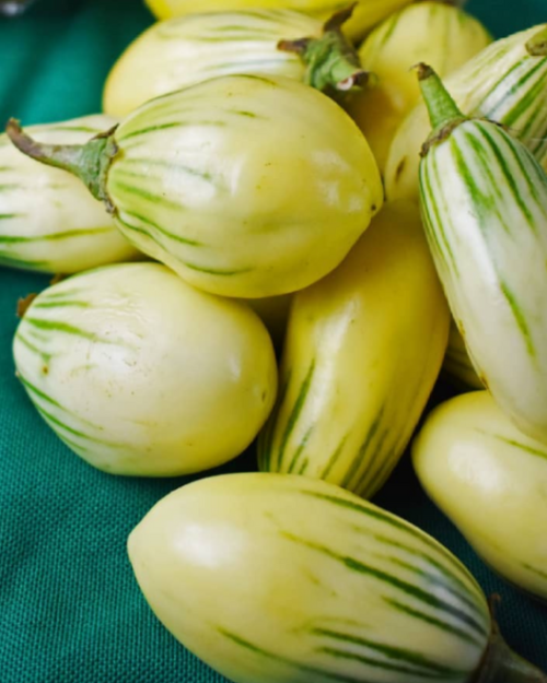 buy Garden Egg 1kg Egg plant Yalo basket, Yalo Egg Plant, yalo, Garden Egg 1kg Egg plant Yalo basket, Yalo Egg Plant, green