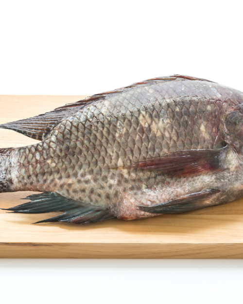 buy Frozen Tilapia descaled, buy online uk