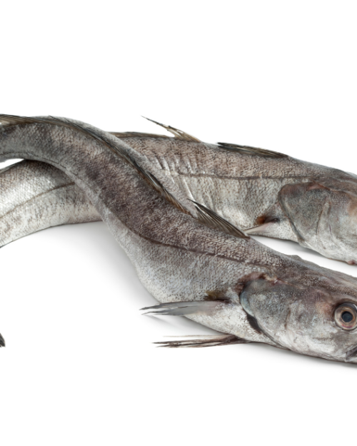 Frozen Hake - Whole Uncut 1kg