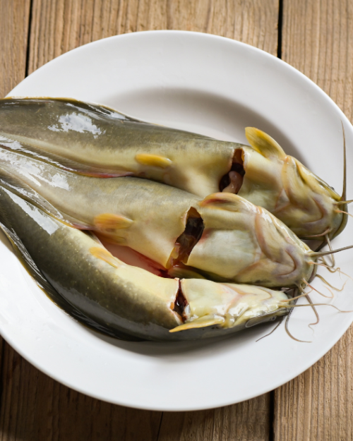 Whole Catfish (Gutted 500–800g) 5kg Box | Fresh African Fish UK